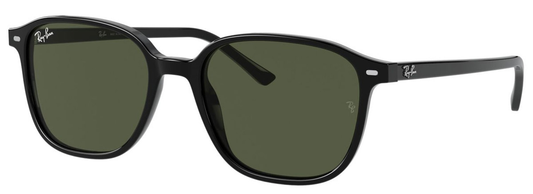 RAYBAN LEONARD